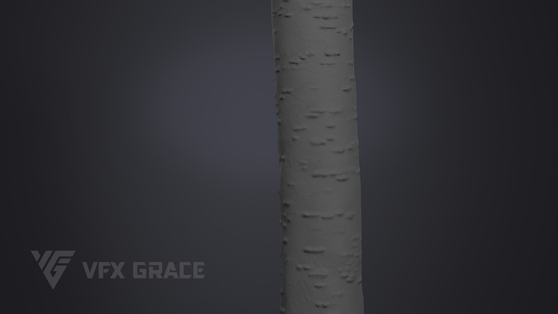 Cherry Tree 001 3D model_8