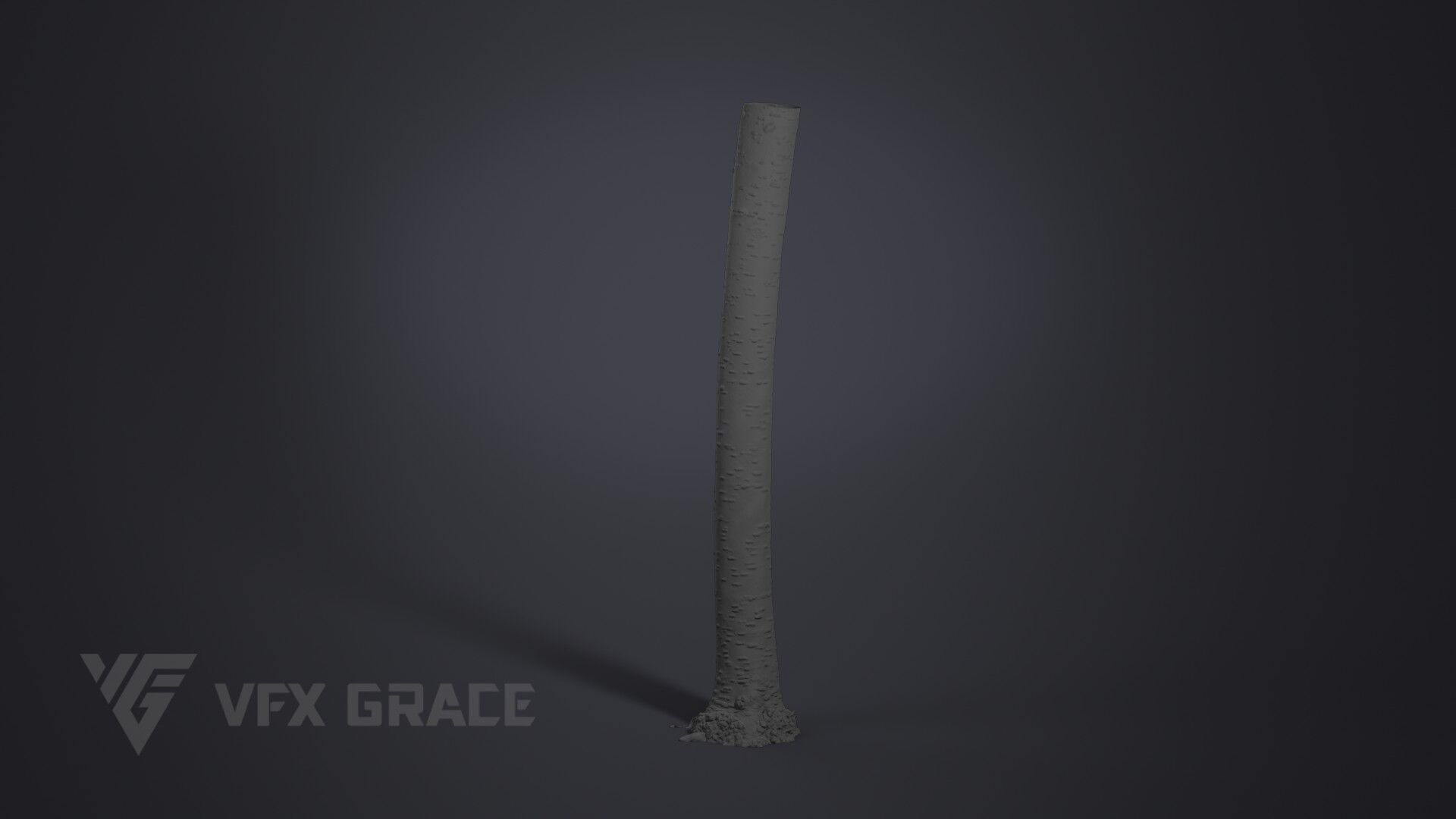 Cherry Tree 001 3D model_6