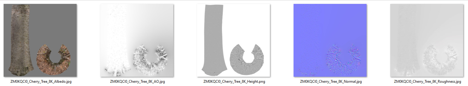 Cherry Tree 001 3D model_9