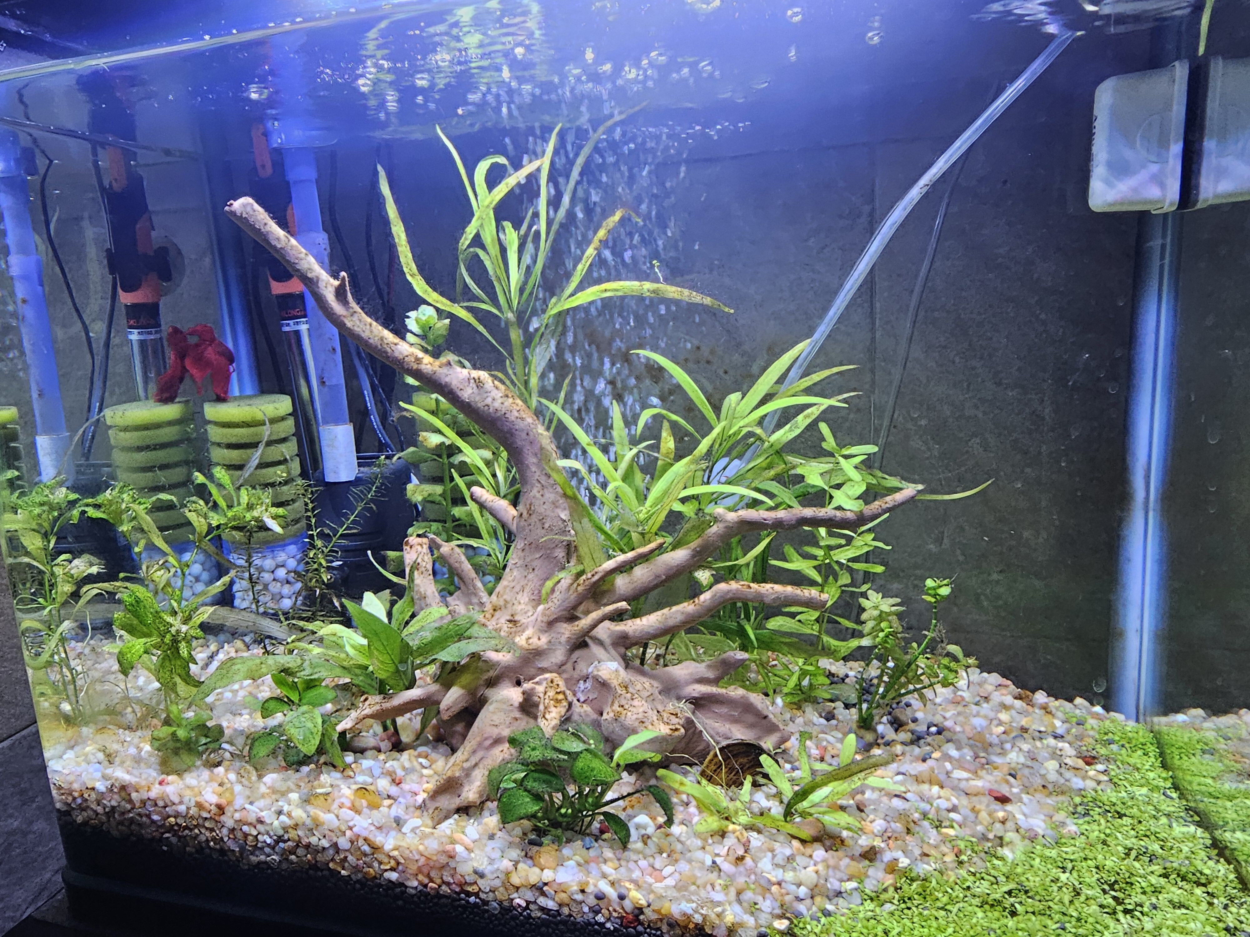 Aquarium driftwood decoration 3D print model 3D print model_1