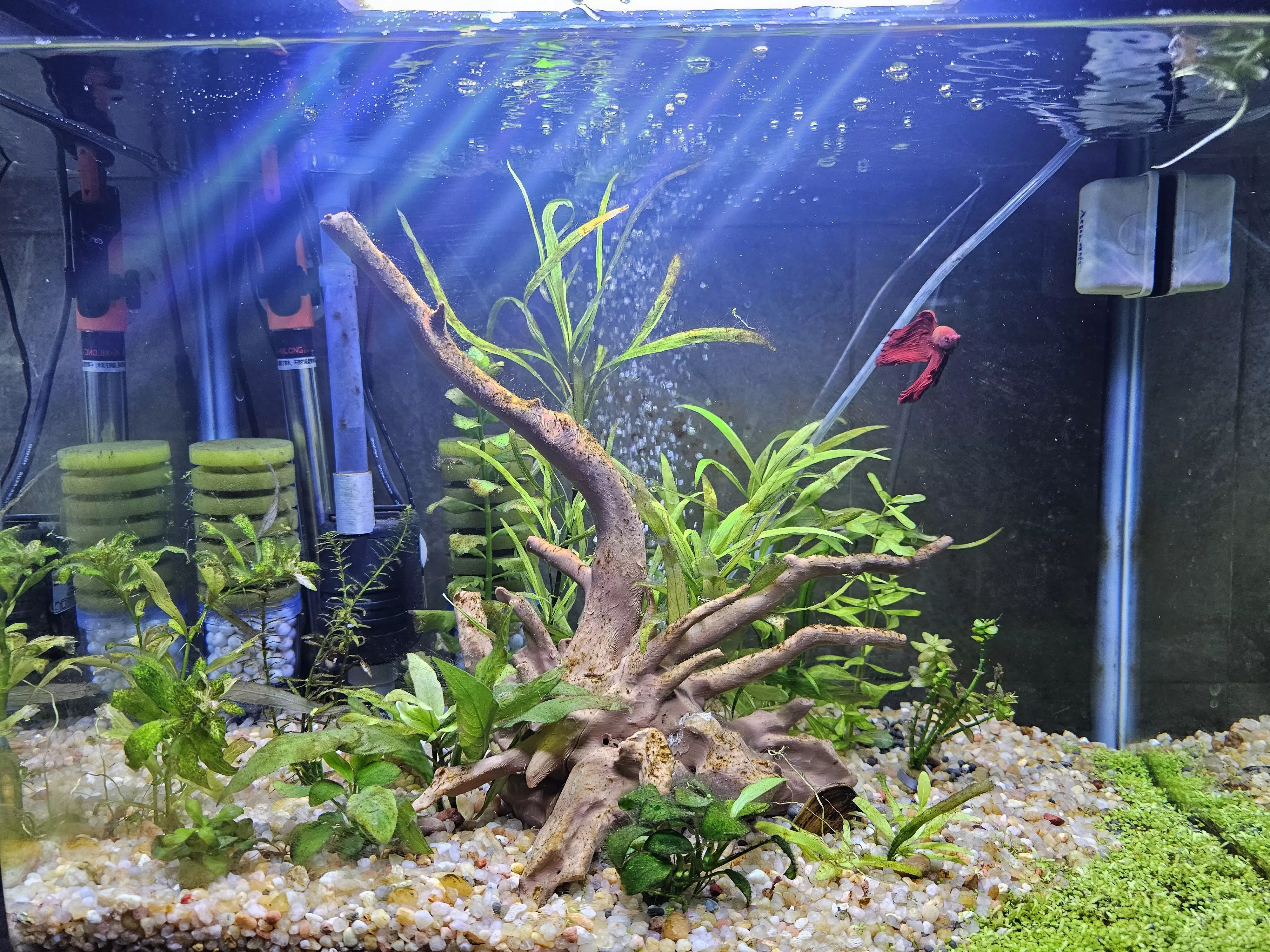 Aquarium driftwood decoration 3D print model 3D print model_0