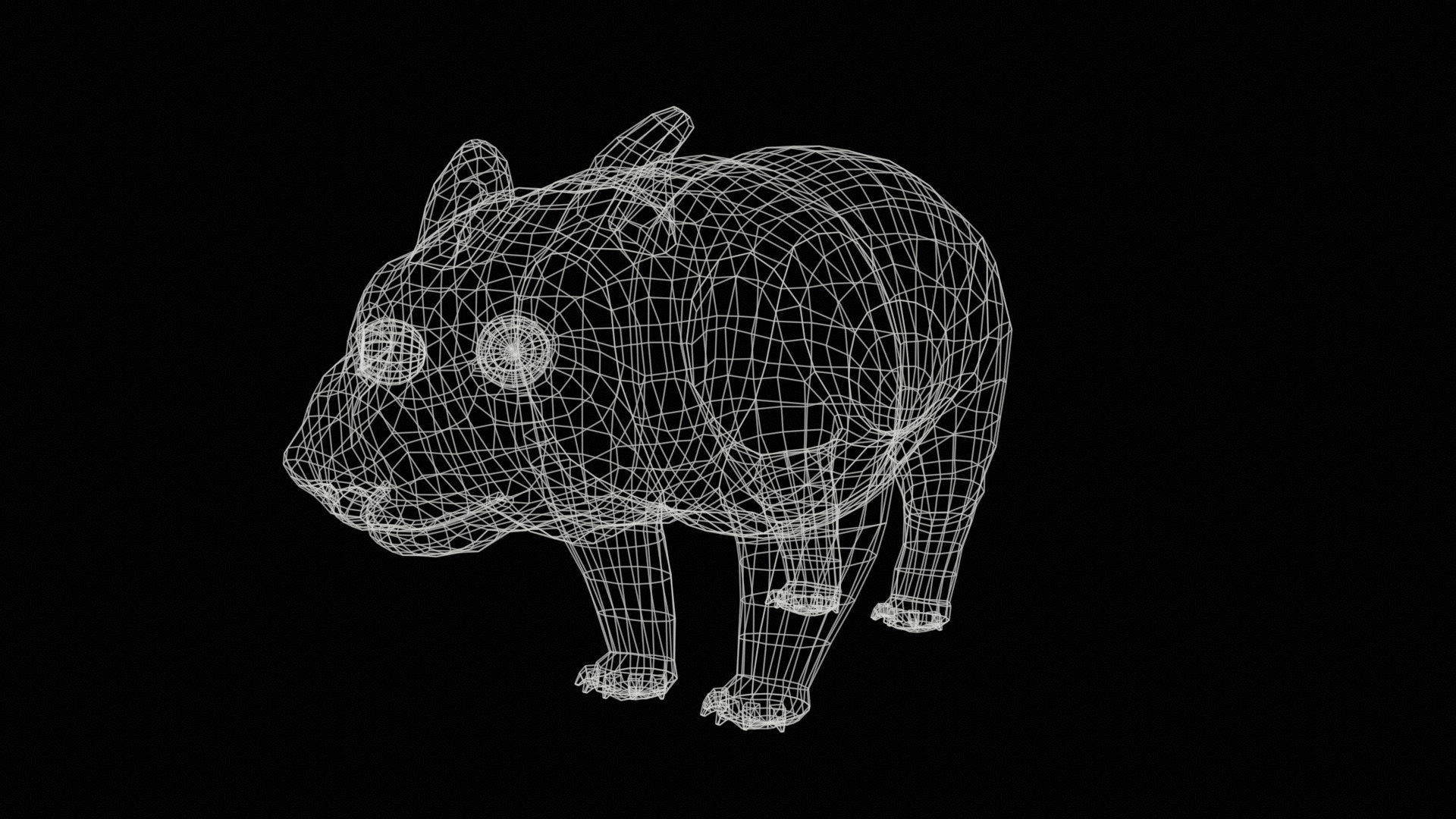 wombat rig  high-poly  textured 3D model_23