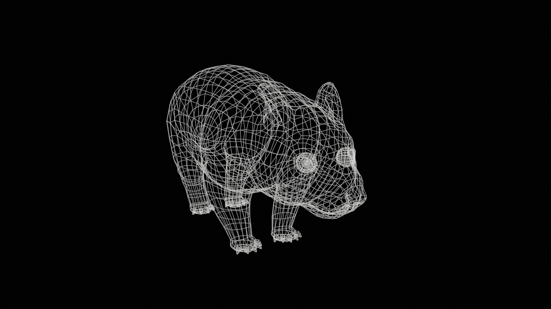 wombat rig  high-poly  textured 3D model_30