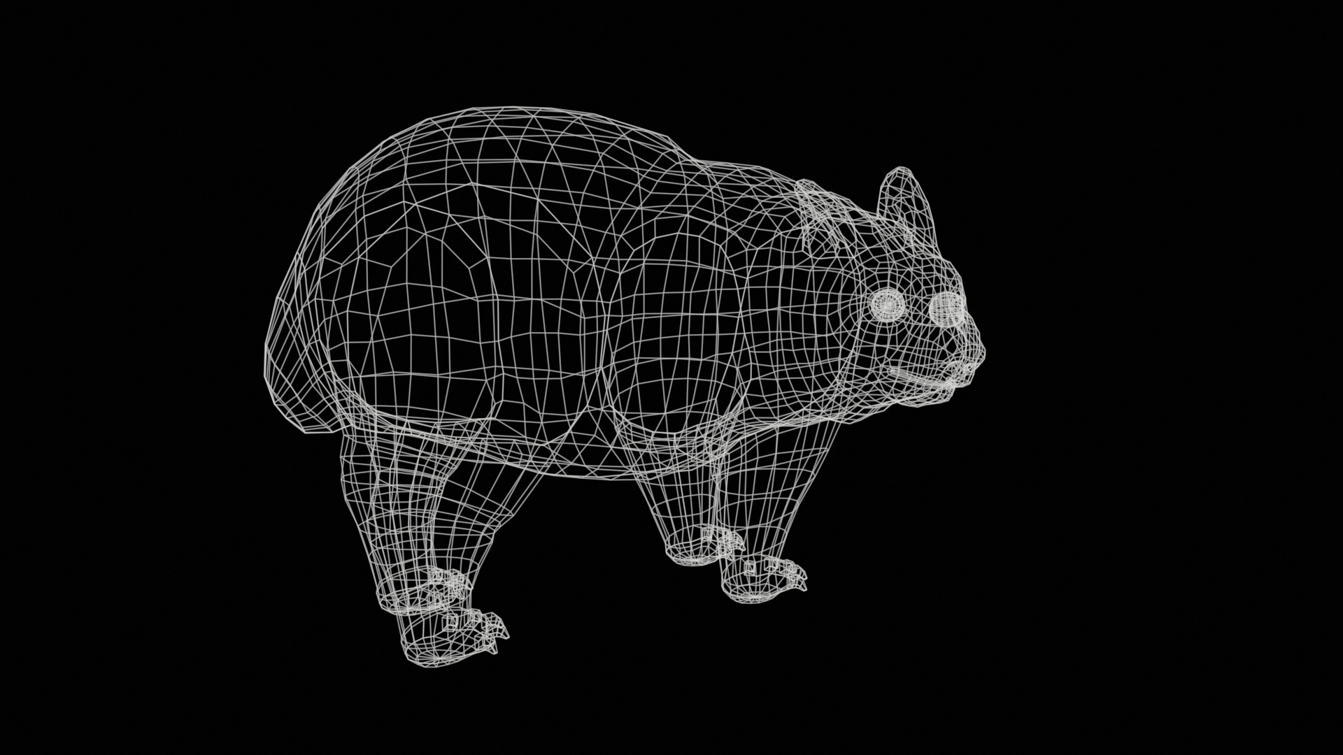 wombat rig  high-poly  textured 3D model_26