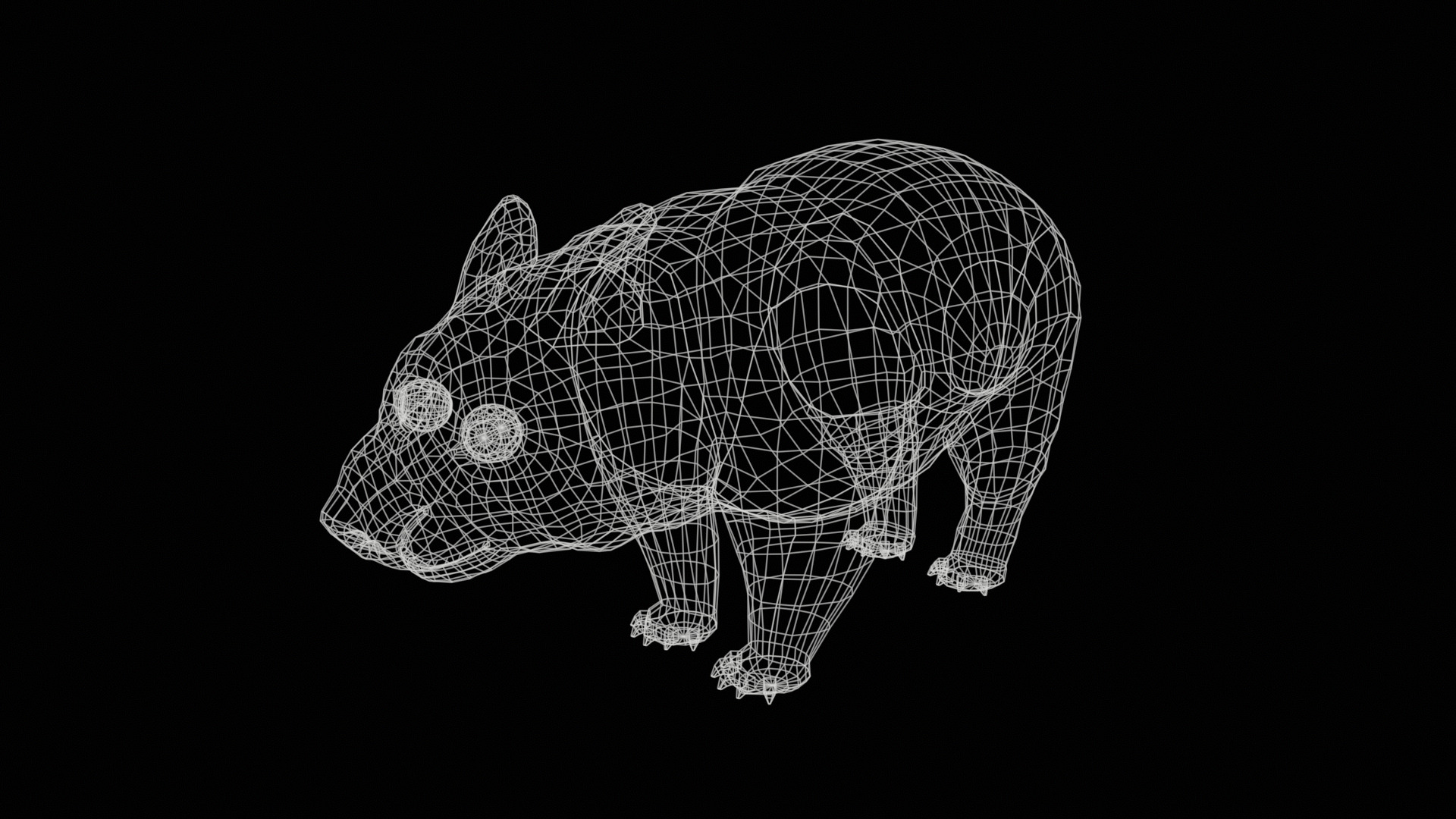 wombat rig  high-poly  textured 3D model_29