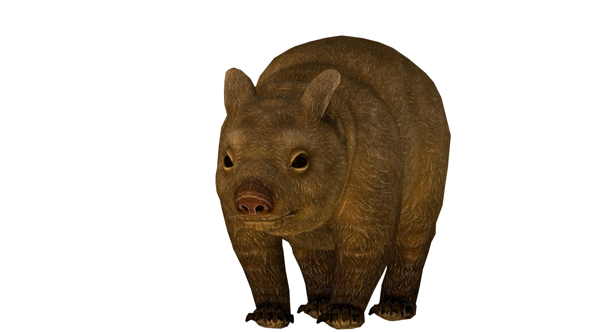 wombat rig  high-poly  textured 3D model_6