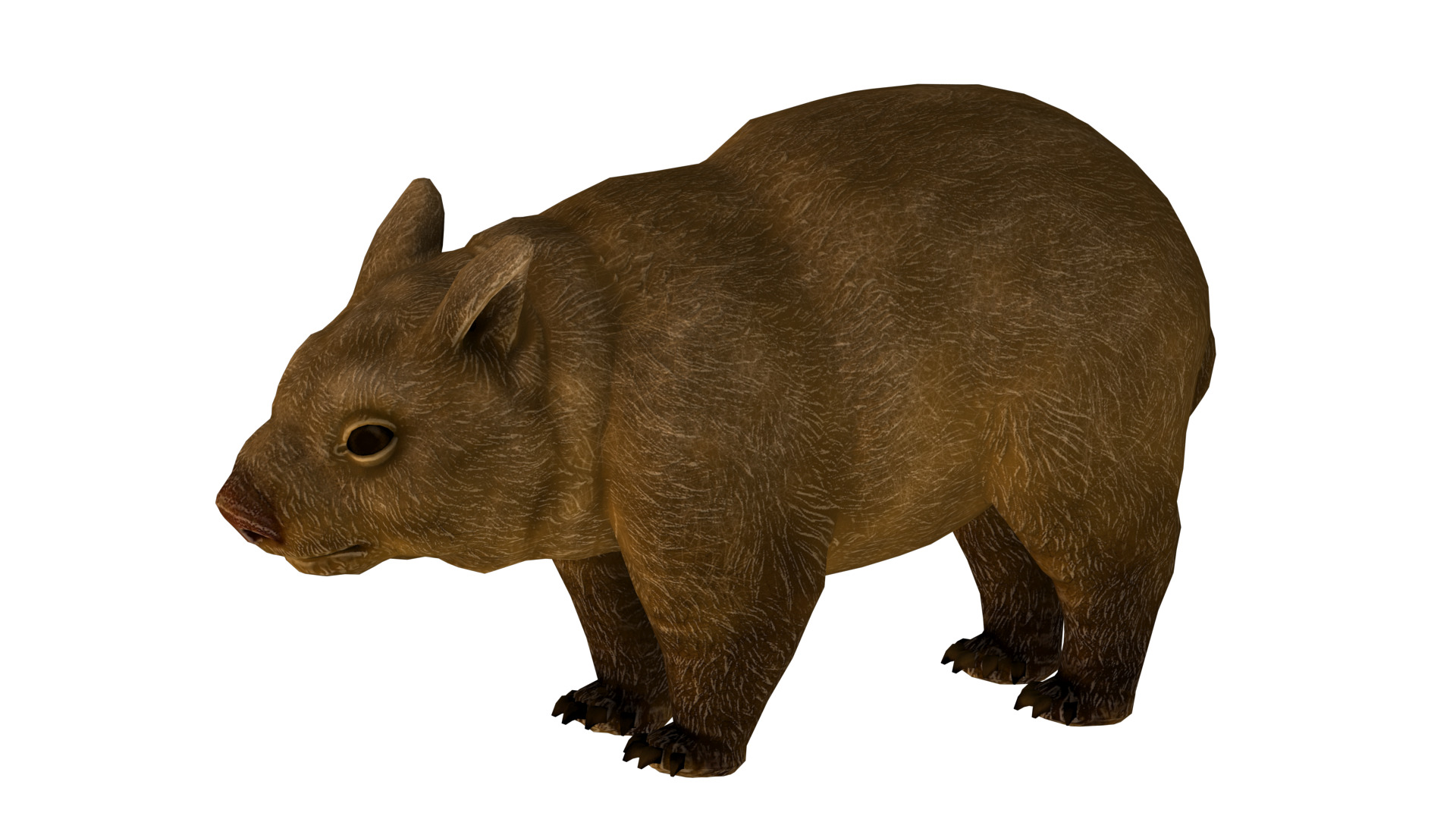 wombat rig  high-poly  textured 3D model_8
