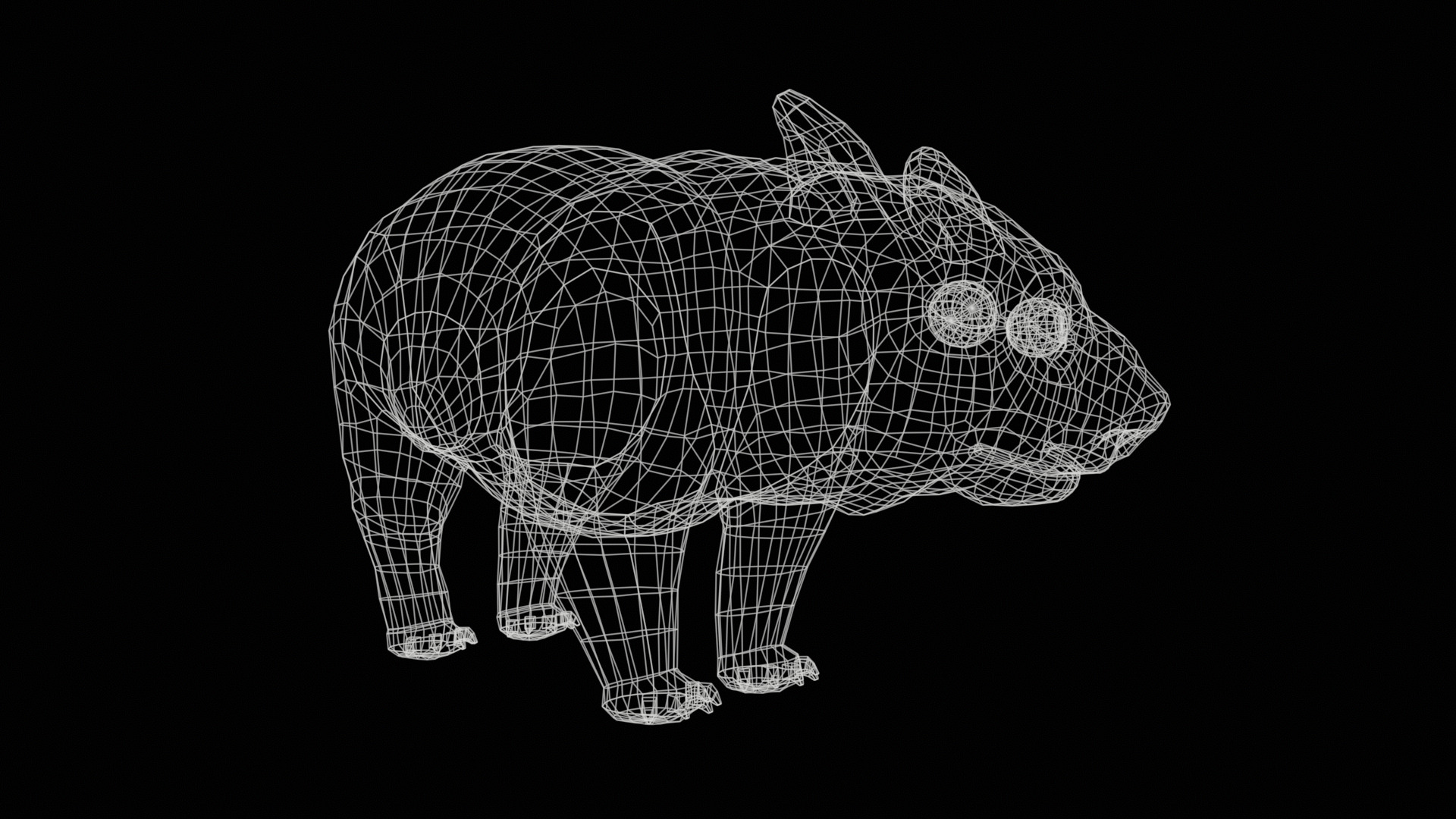 wombat rig  high-poly  textured 3D model_24