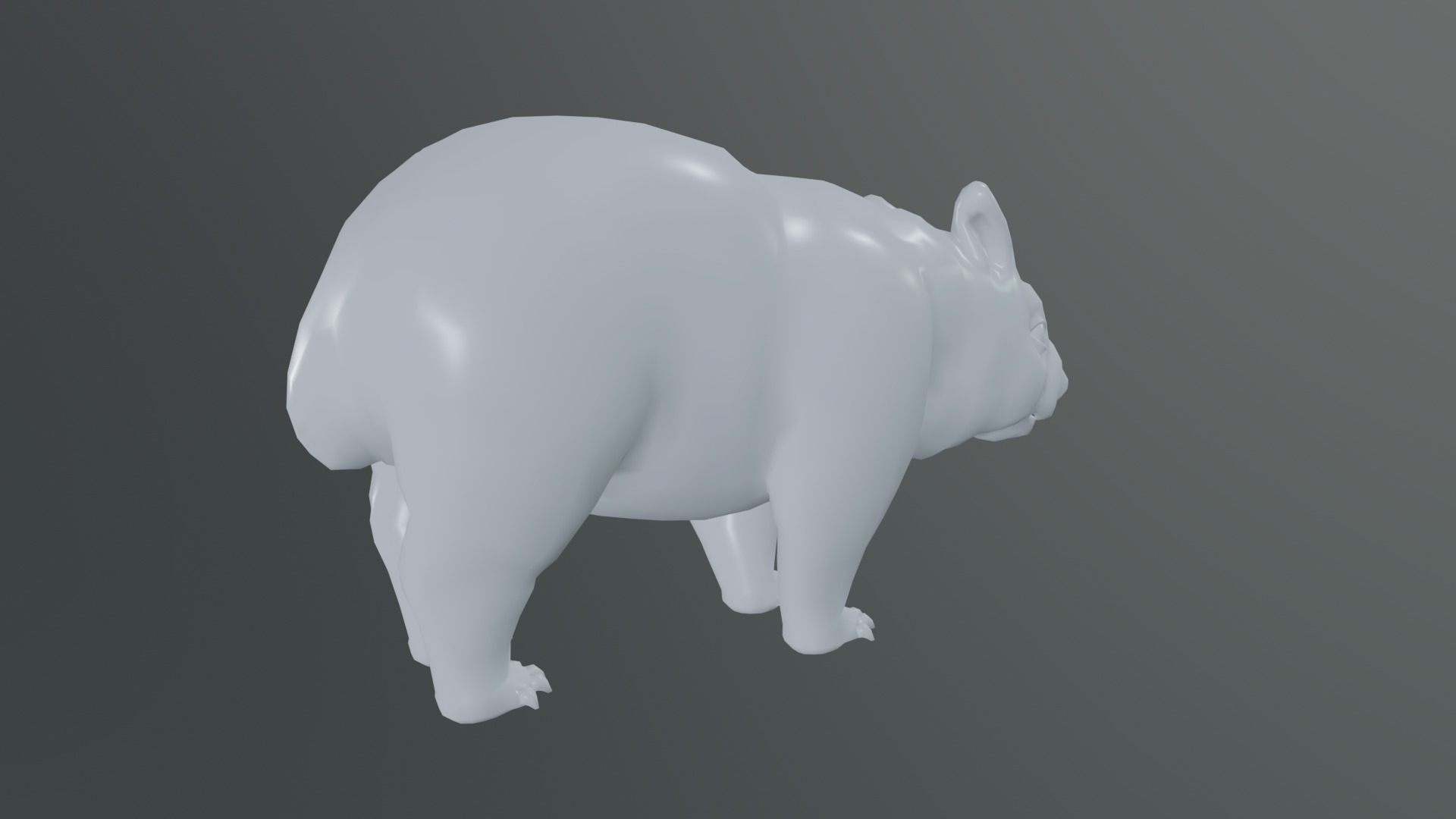 wombat rig  high-poly  textured 3D model_16