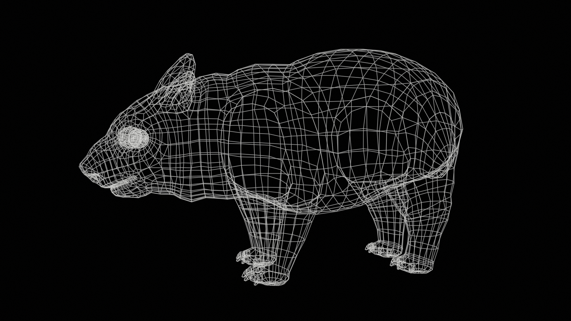 wombat rig  high-poly  textured 3D model_21