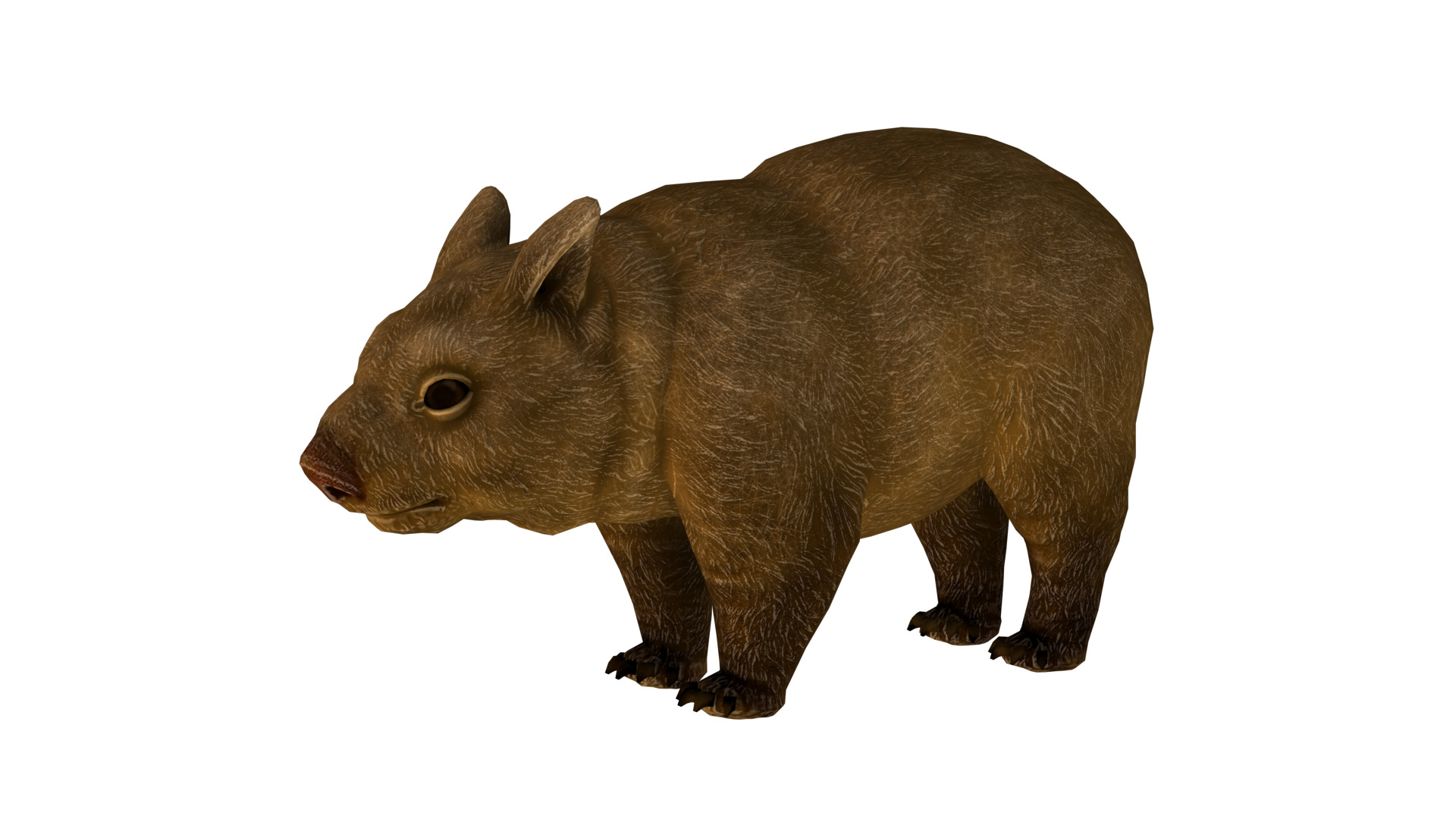 wombat rig  high-poly  textured 3D model_2