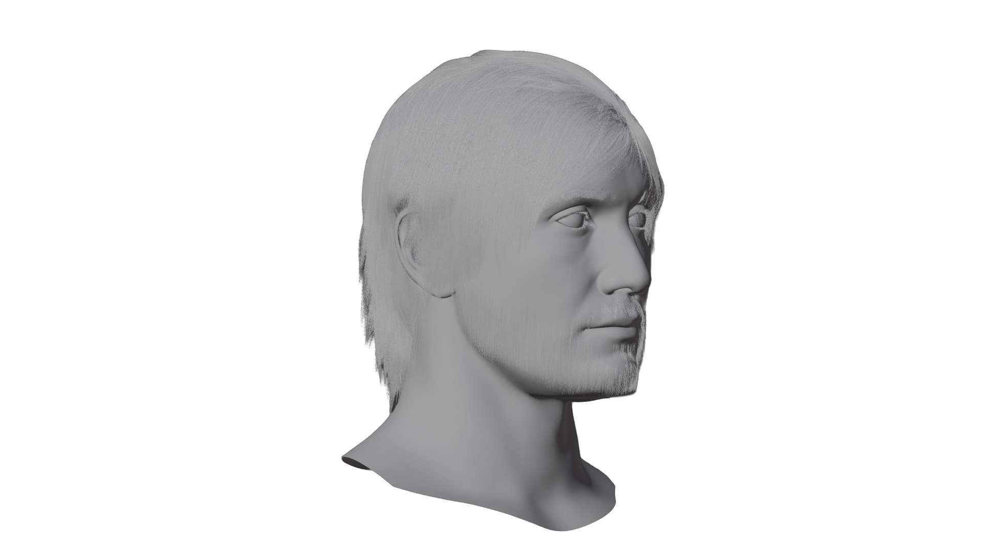 Female and male  Head 3D Model Collection_9