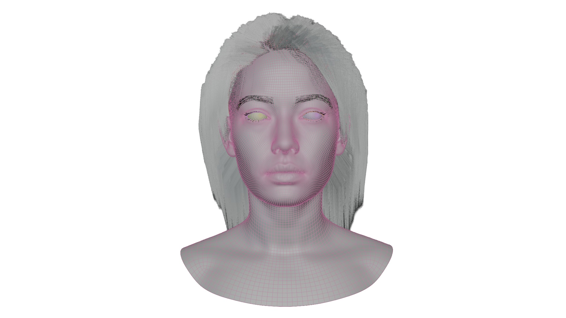 Female and male  Head 3D Model Collection_13