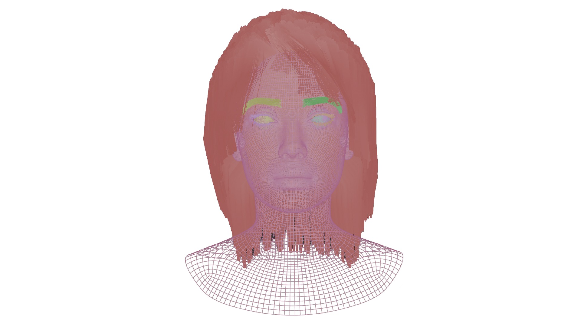 Female and male  Head 3D Model Collection_10