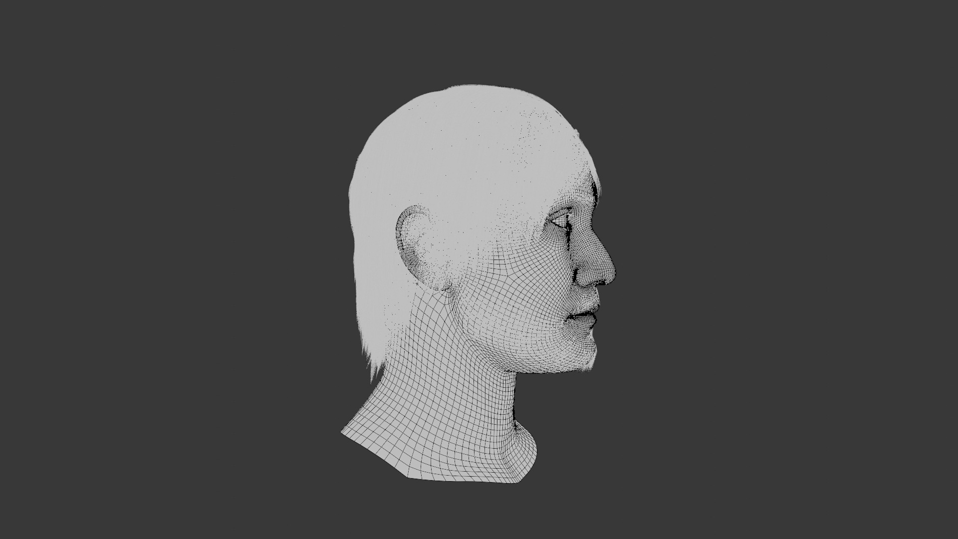 Female and male  Head 3D Model Collection_17