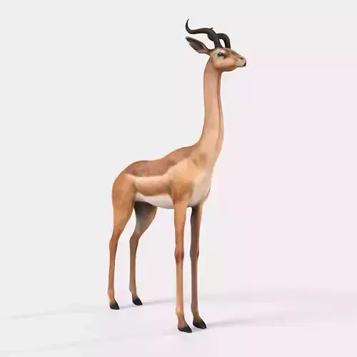 Gerenuk Antelope Low-poly 3D model