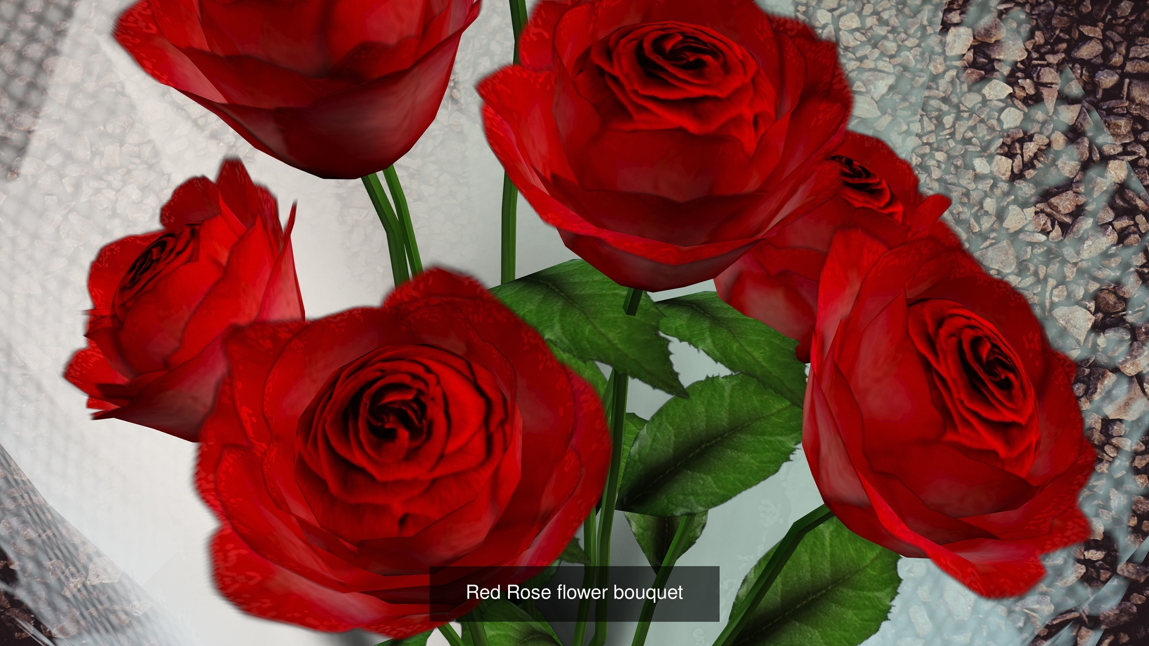 28 PACK OF COLLECTION _24