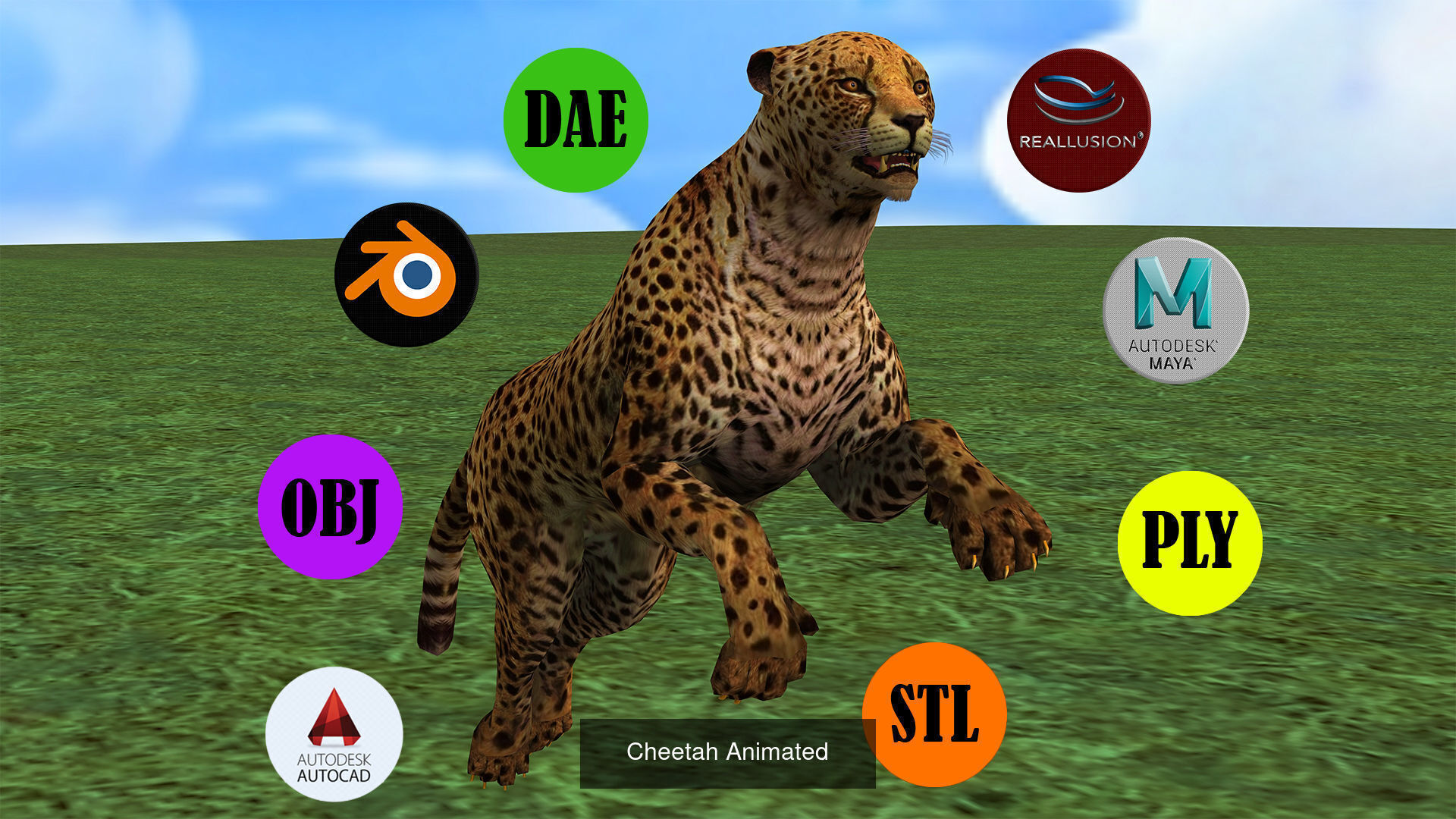 5 PACK OF LION FAMILY 3D Model Collection_9