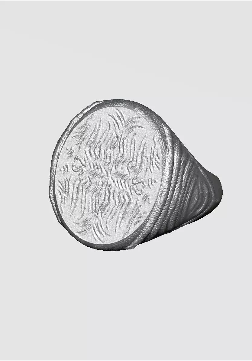 Ring Oval 3D print model_0