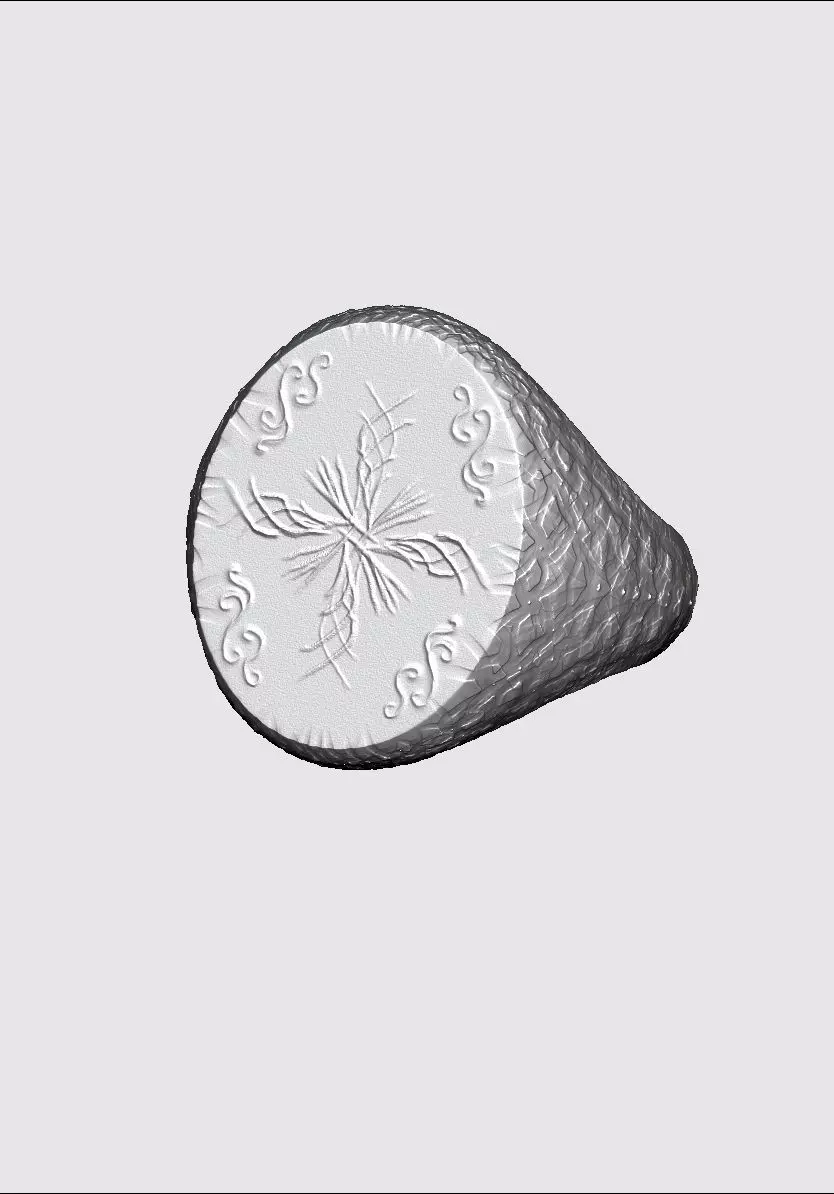 Ring Process 3D print model