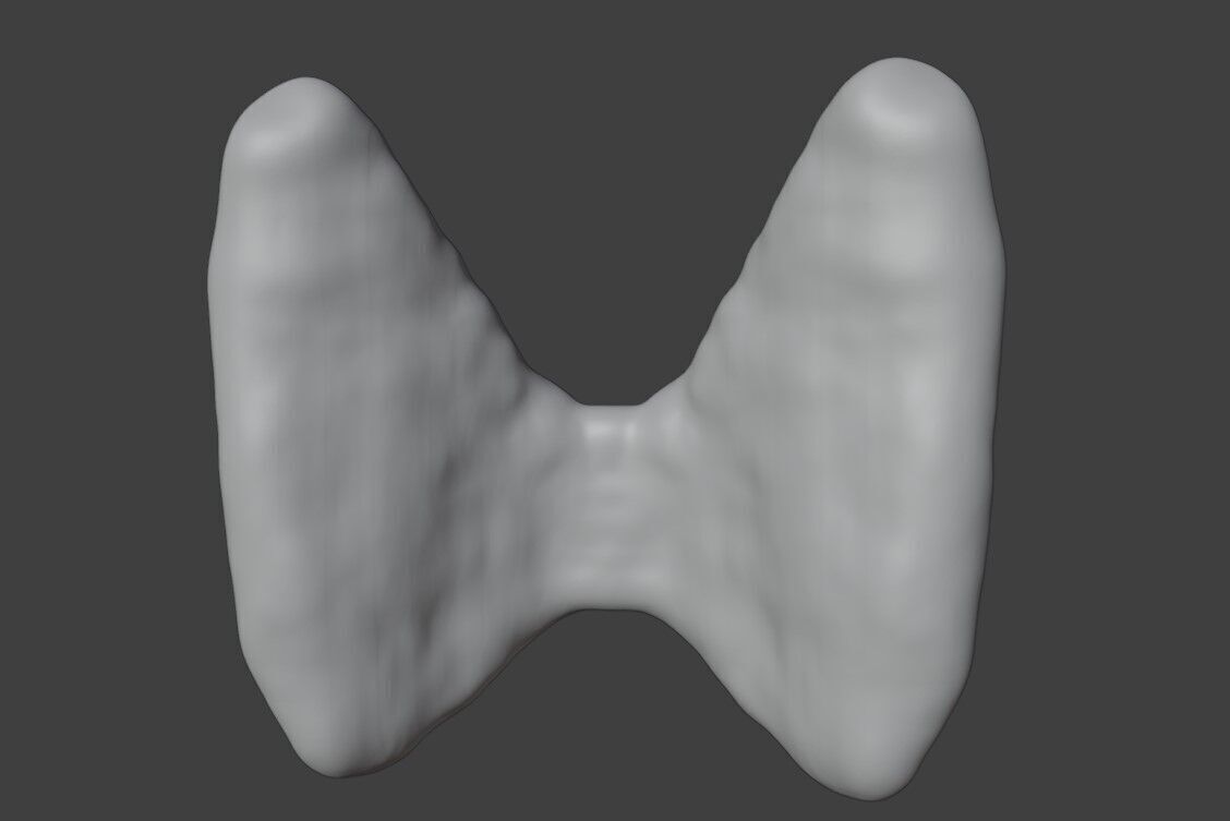 3D Model of Thyroid Gland 3D print model_3