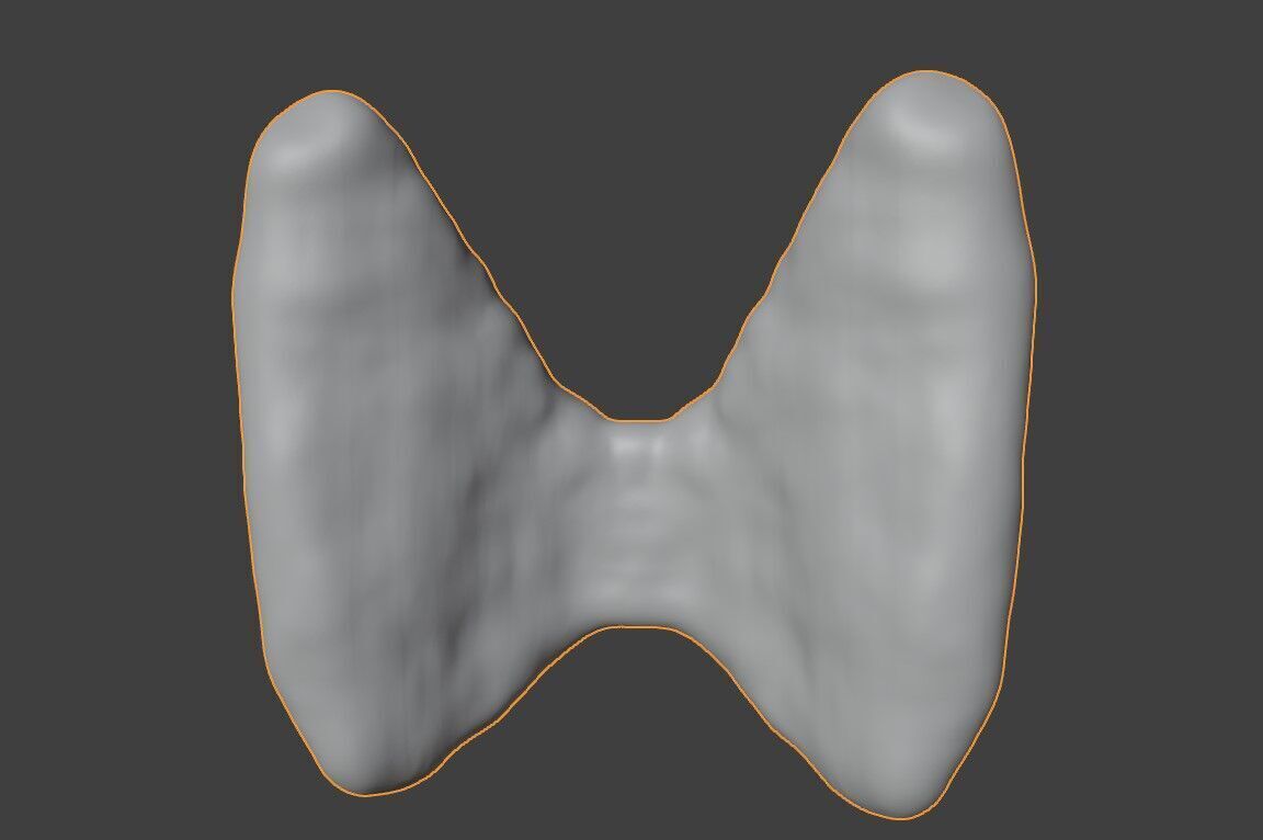 3D Model of Thyroid Gland 3D print model_2