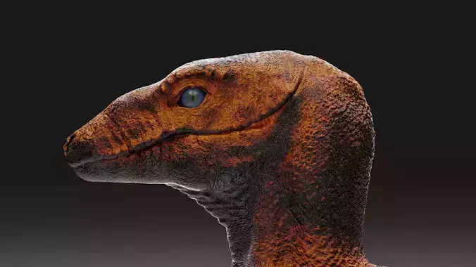 Velociraptor - 3D Model 3D model