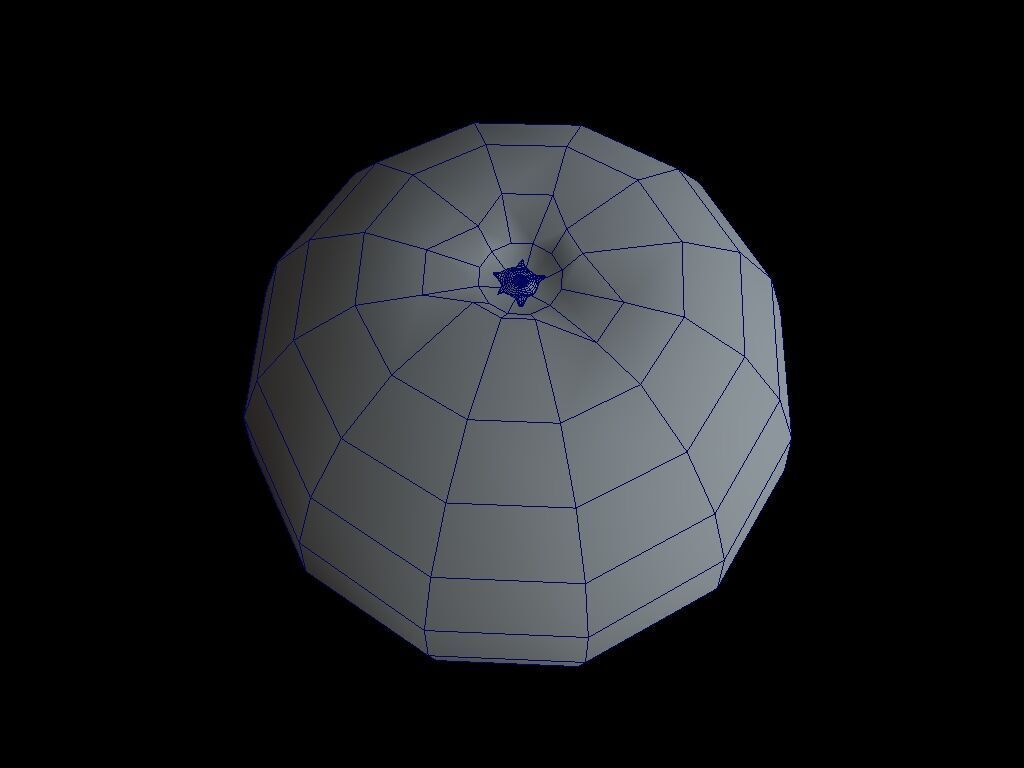 Orange Fruit 3D model_3