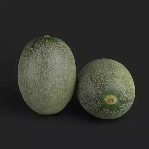 Cantaloupe 002 3D model