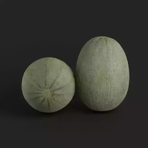 Cantaloupe 001 3D model