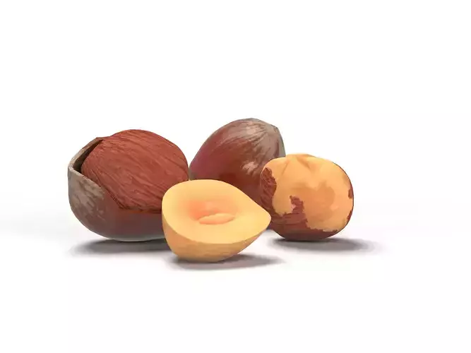 Hazelnut 