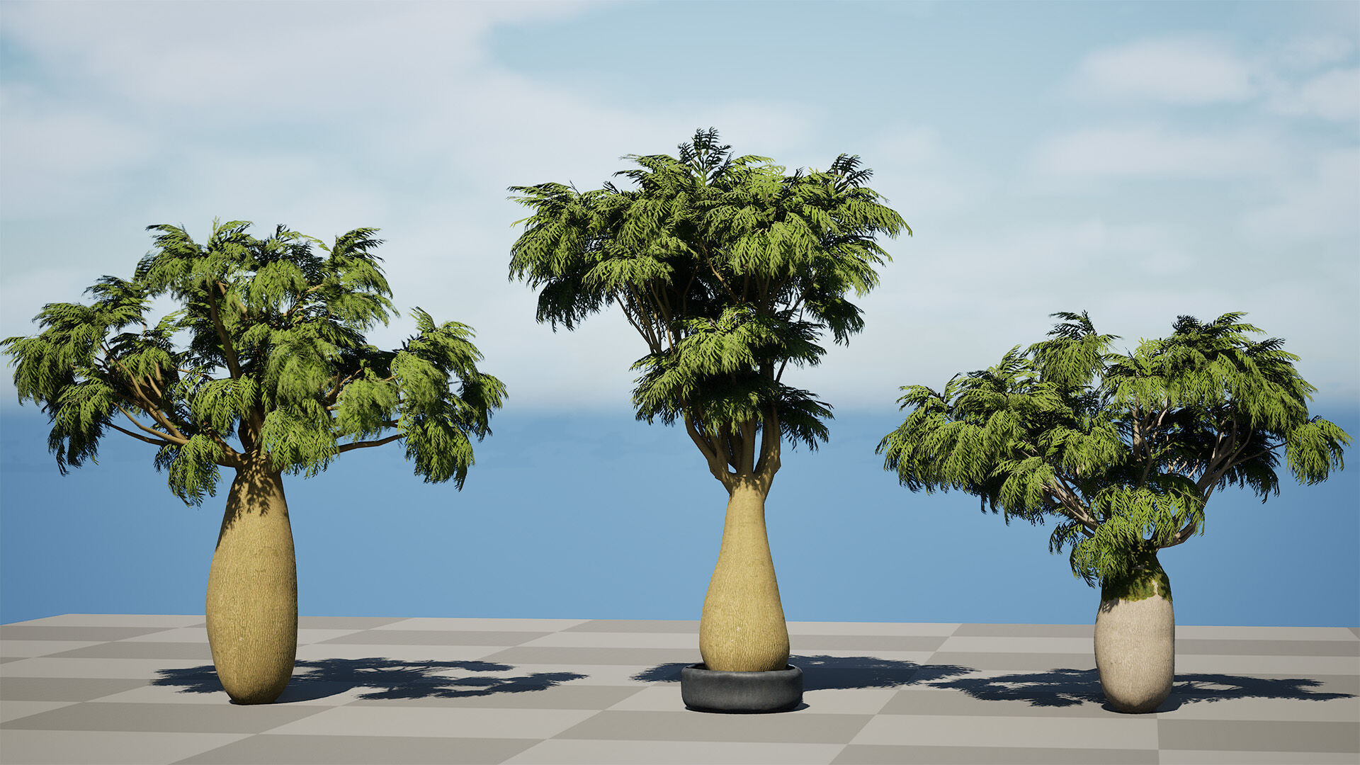 Australian Brachychiton Rupestris Low-poly 3D model_8