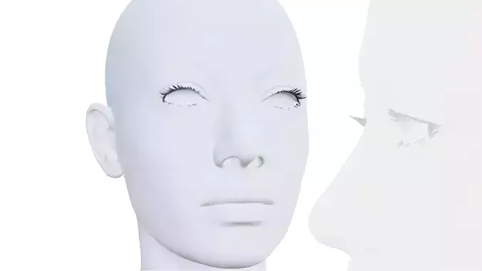 Eyelashes version 1 Low-poly 3D model