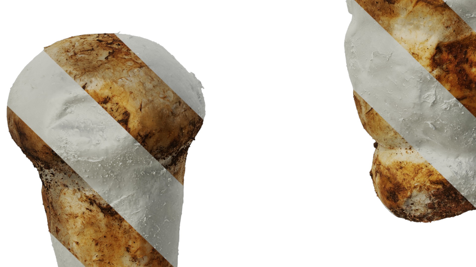 Anydrafts Catathelasma ventricosum Atlas 01 Texture_5