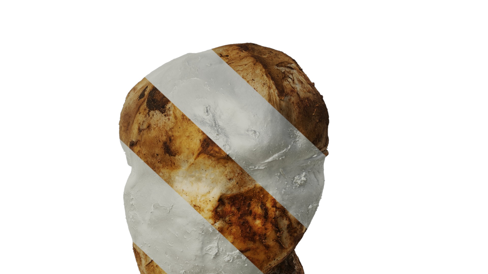 Anydrafts Catathelasma ventricosum Atlas 01 Texture_7