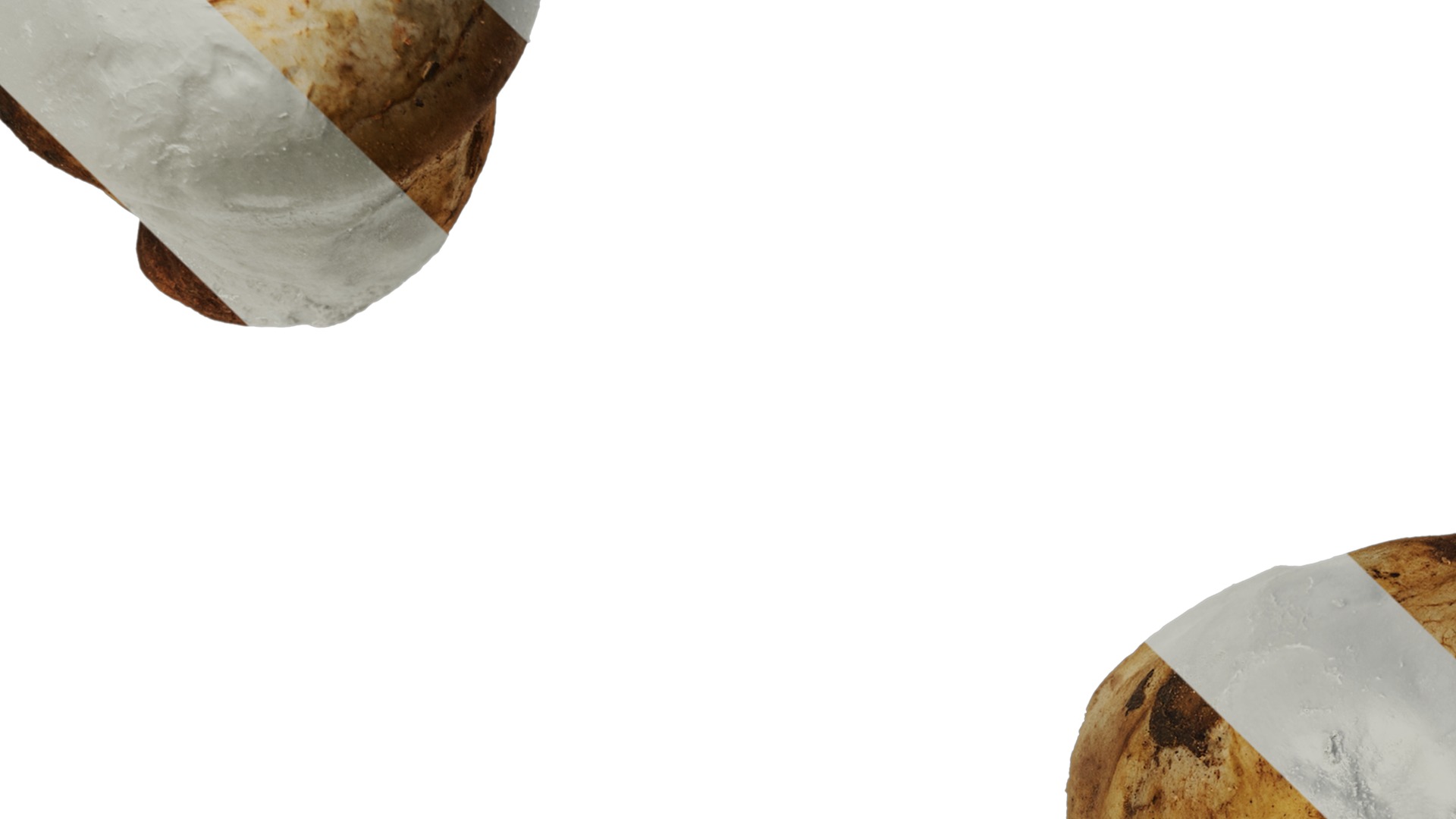 Anydrafts Catathelasma ventricosum Atlas 01 Texture_3