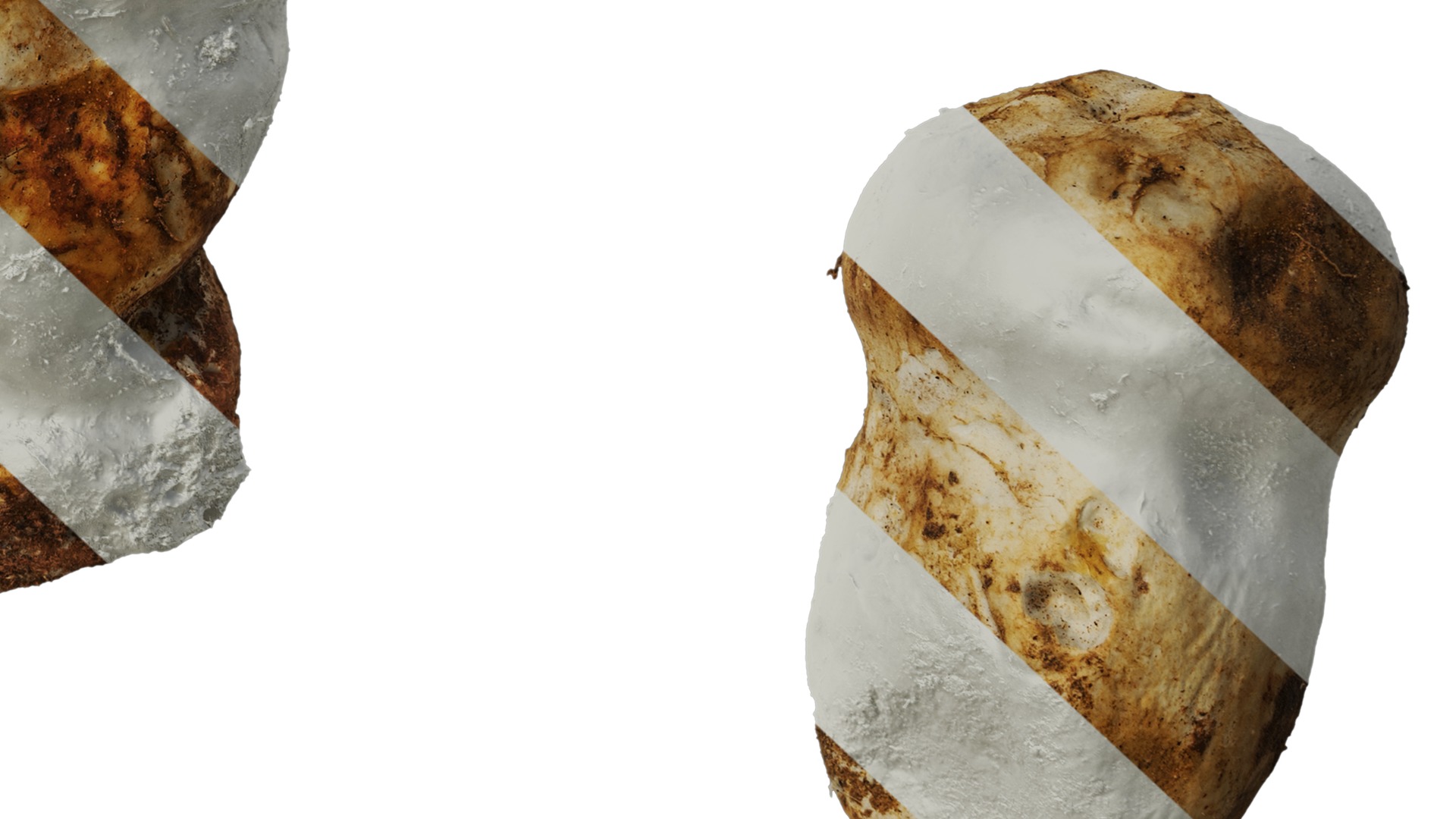 Anydrafts Catathelasma ventricosum Atlas 01 Texture_6