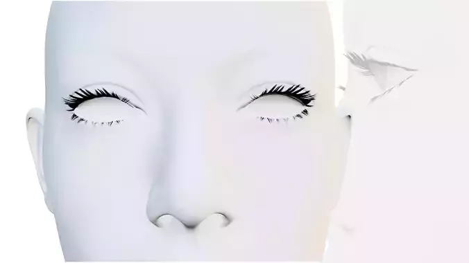 Eyelashes version 2 Low-poly 3D model