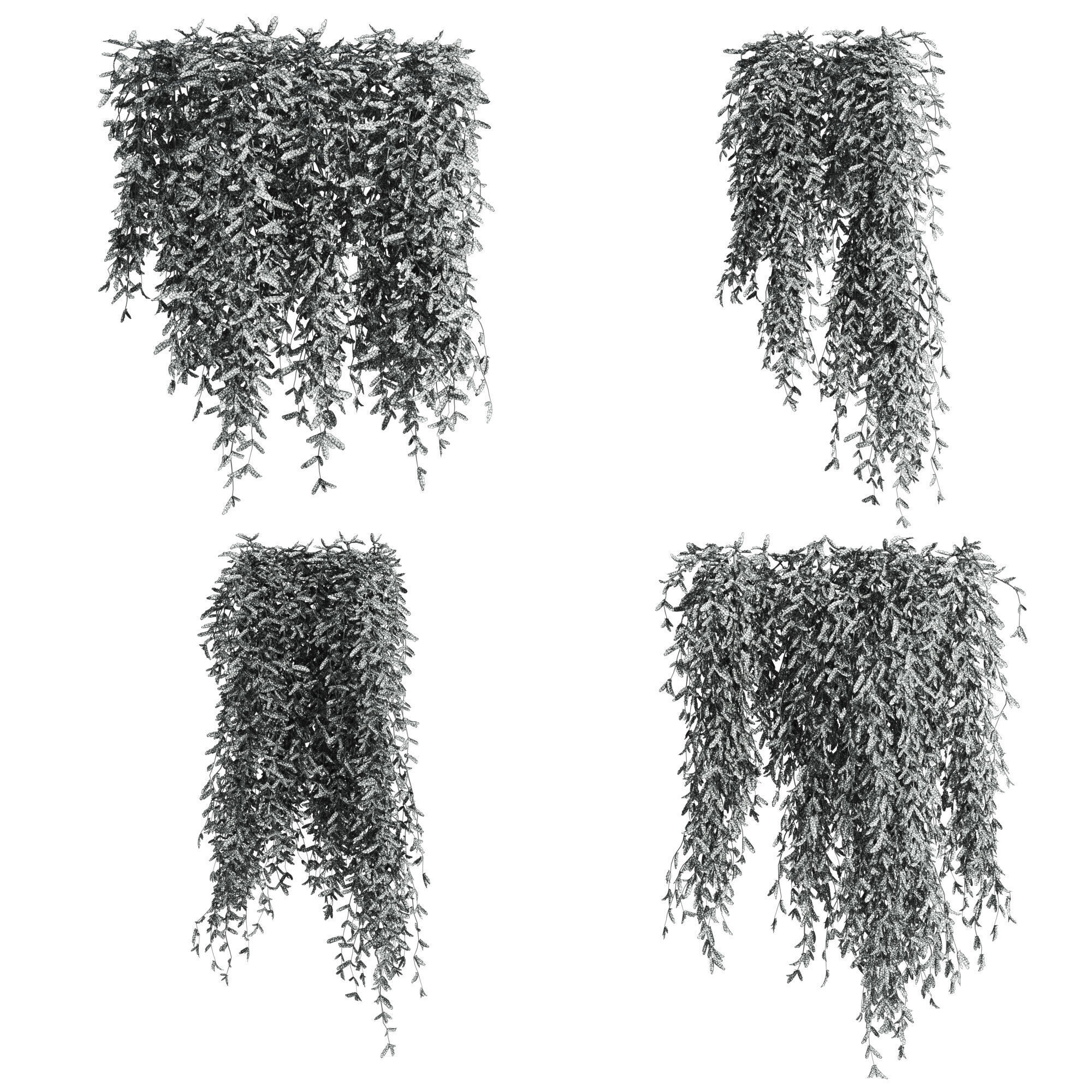 hanging plants 3D model_1