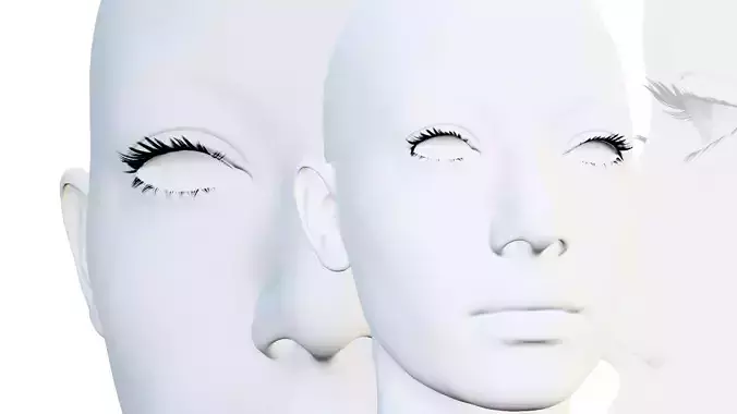  2Eyelashes version 3D Model Collection