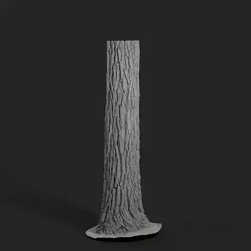 Black Locust tree 3D model