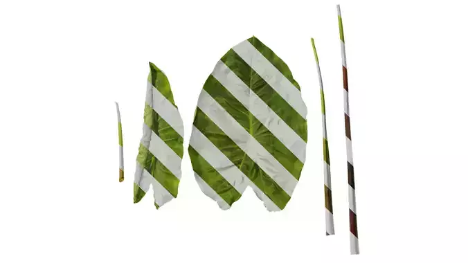 Anydrafts Colocasia esculenta Atlas 02