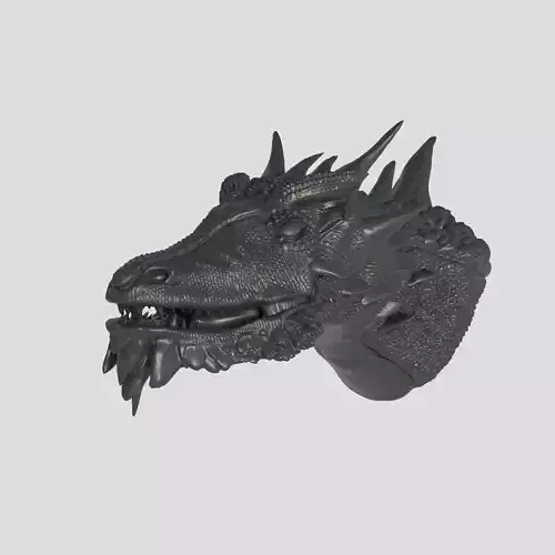 Dragon Head