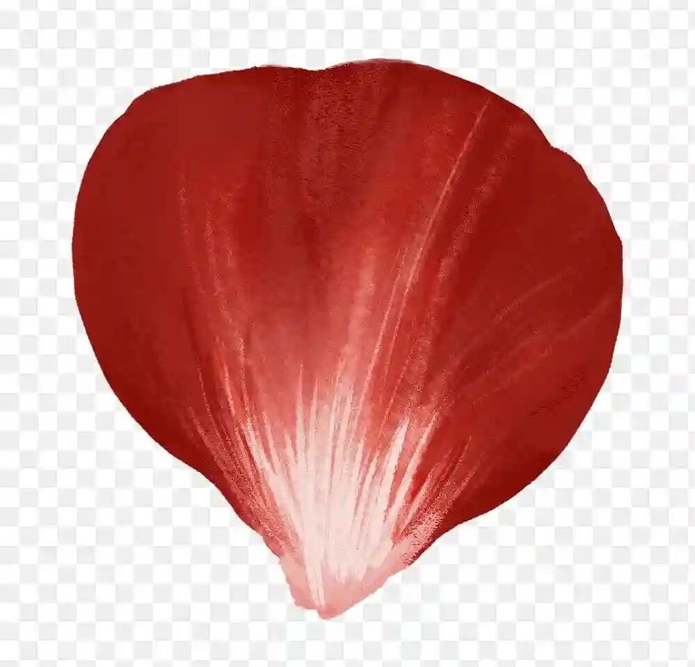 Valentine Day Heart-Shaped Rose Bouquet 3D Model Low-poly 3D model_9