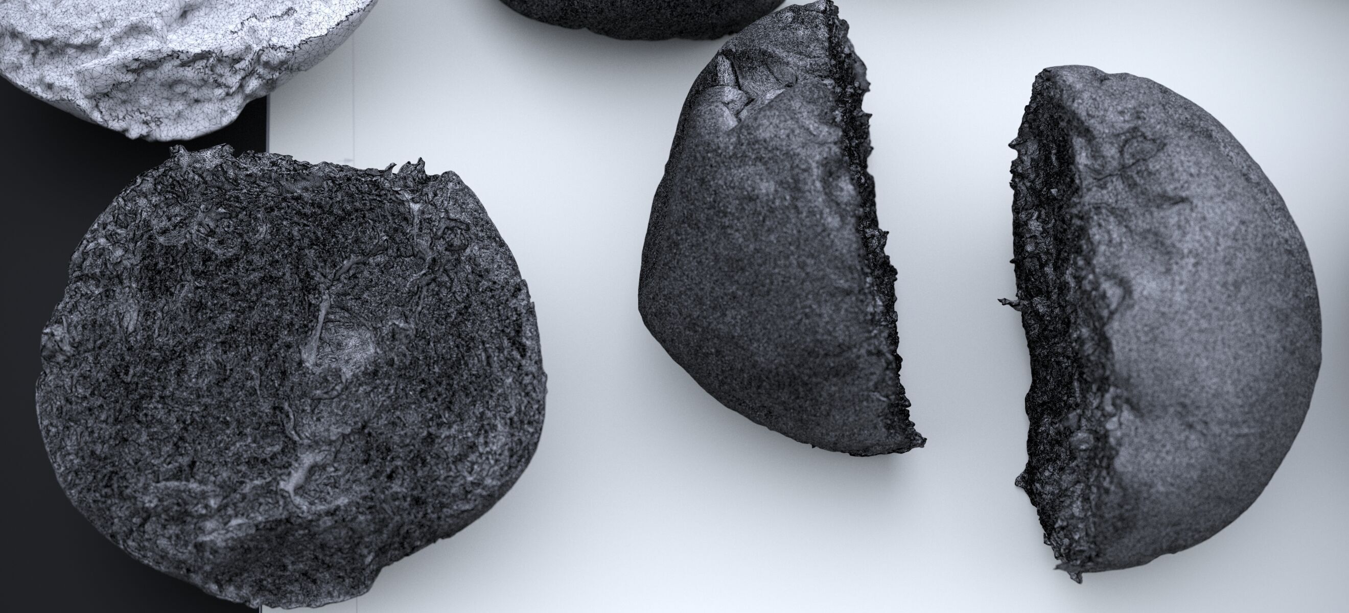 HARD ROLLS 2024 3D model_29