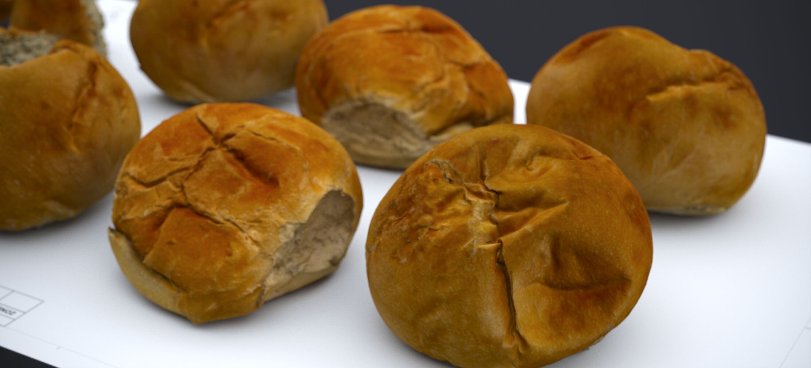 HARD ROLLS 2024 3D model_10