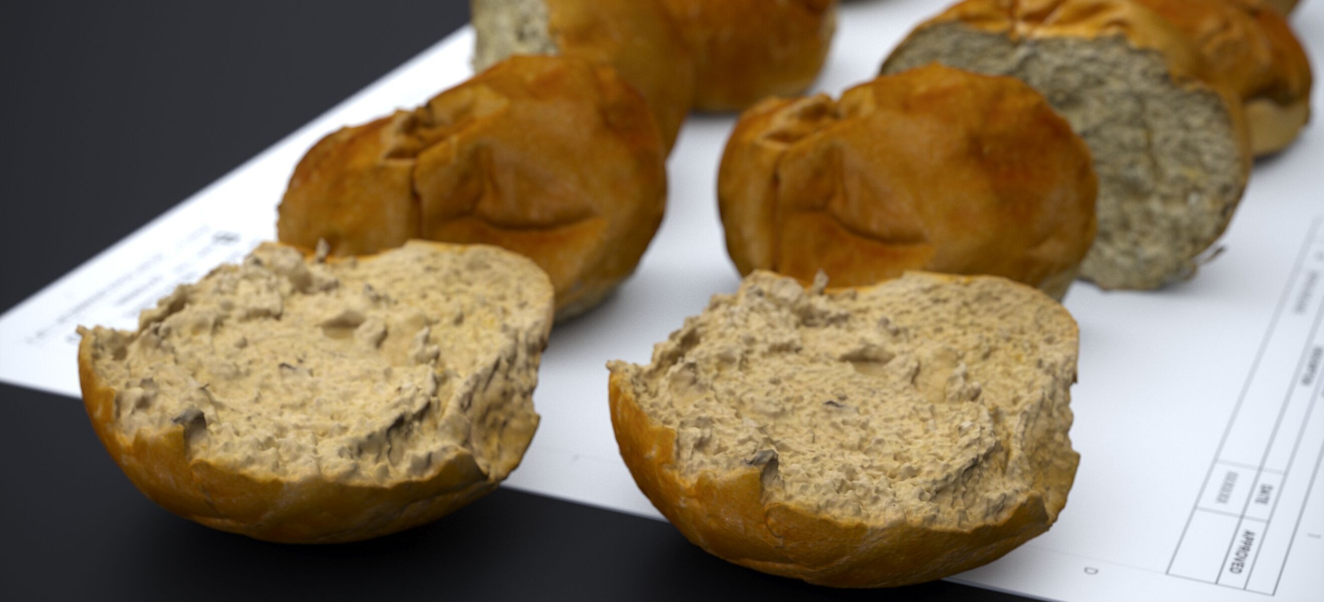 HARD ROLLS 2024 3D model_6