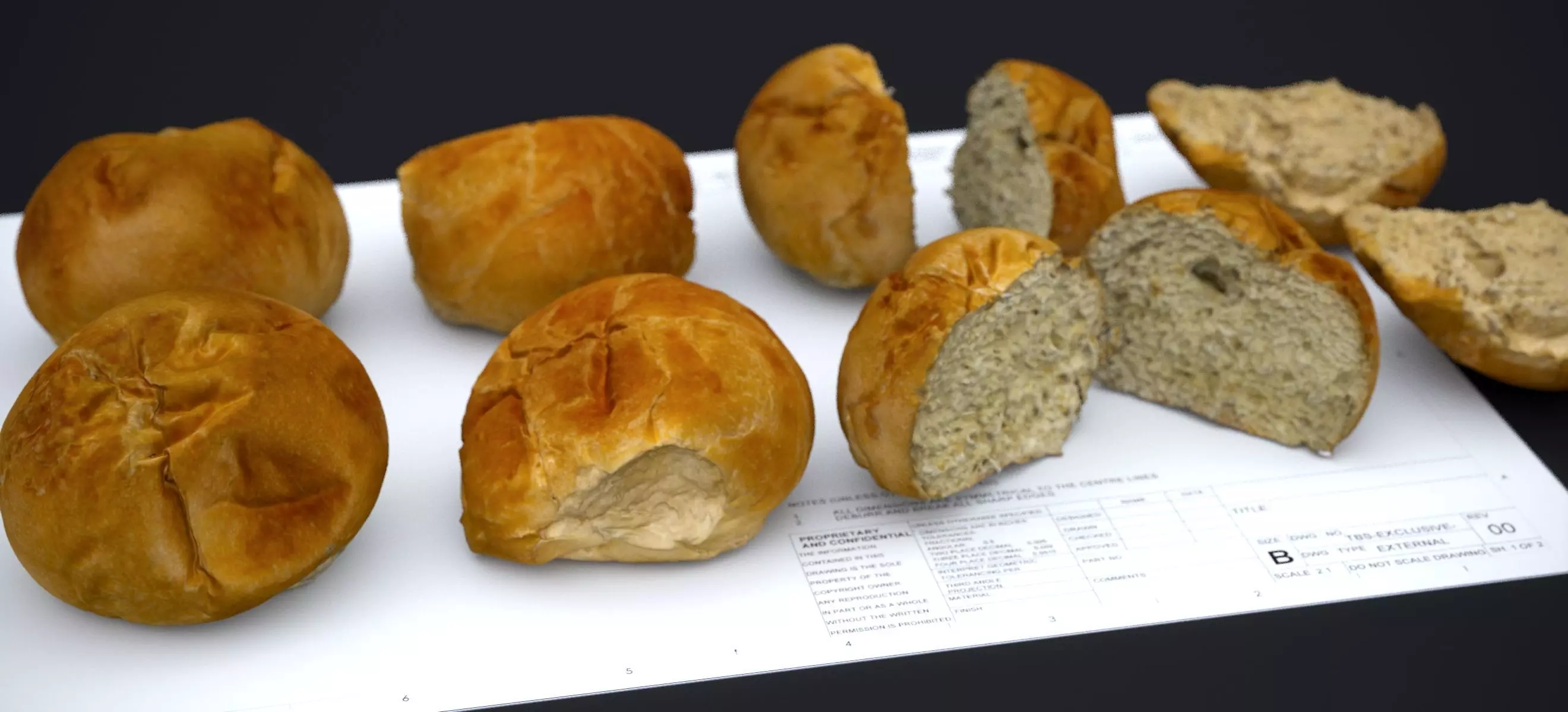 HARD ROLLS 2024 3D model_0