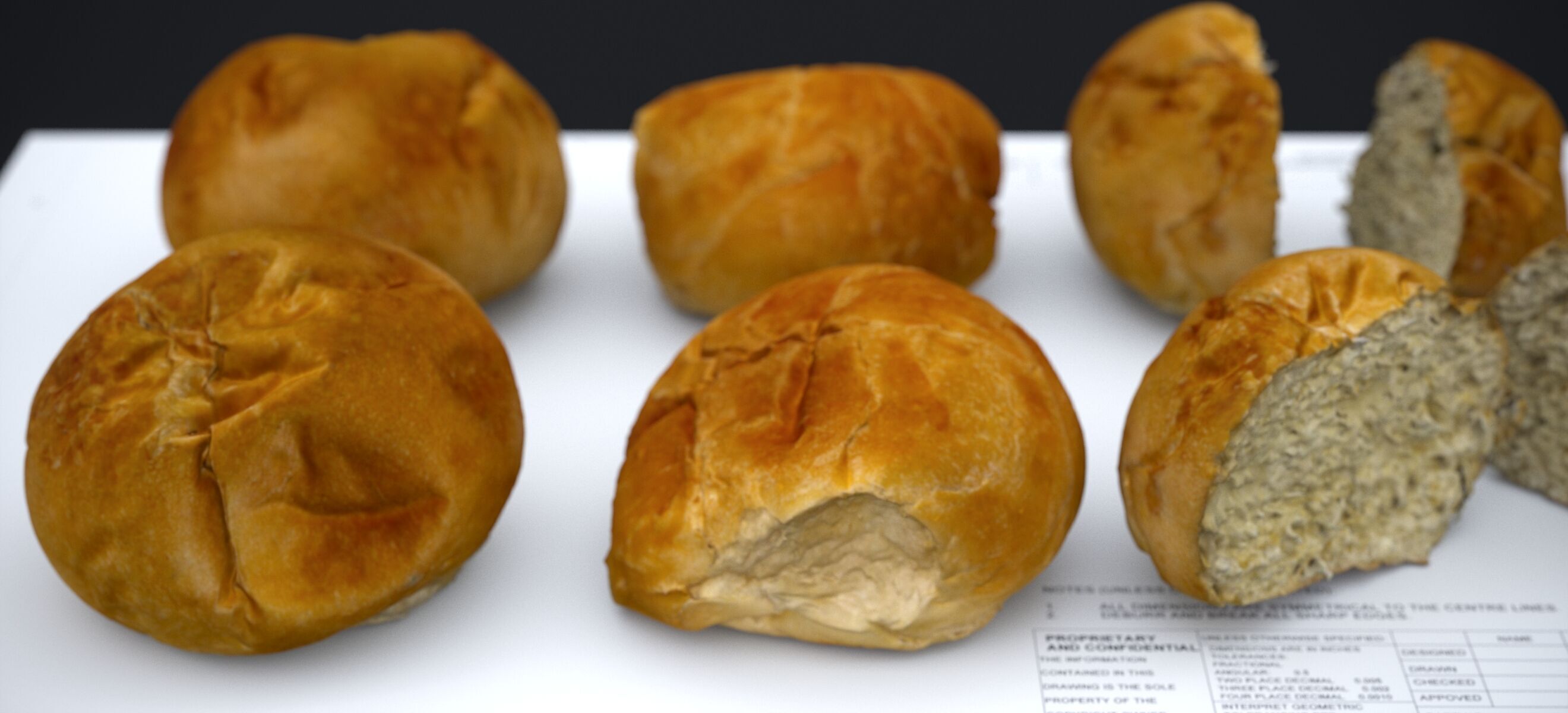 HARD ROLLS 2024 3D model_1