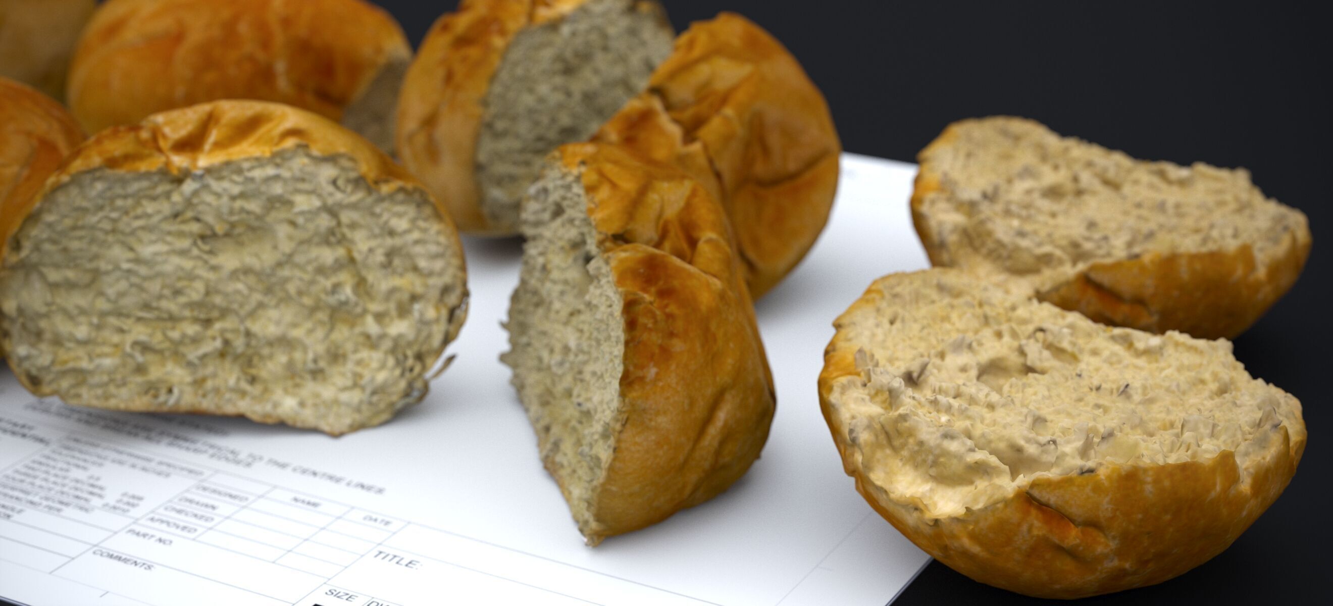 HARD ROLLS 2024 3D model_4